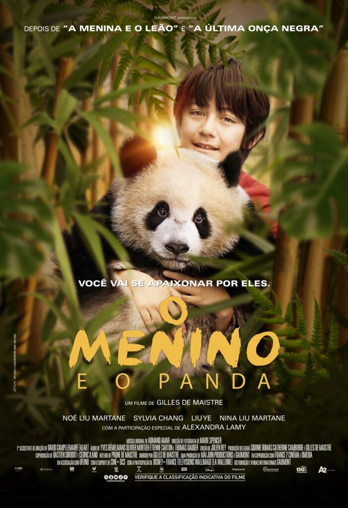Pôster de O Menino e o Panda (Divulgação / A2 Filmes)