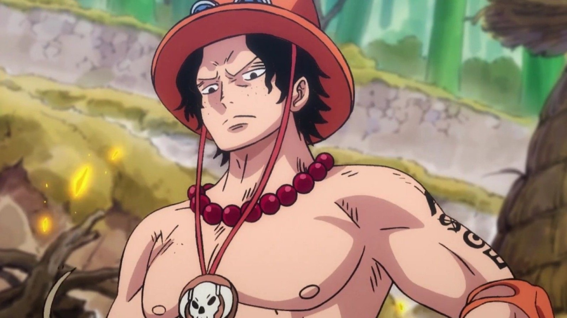 Netflix revela quem interpretará Ace em One Piece: A Série