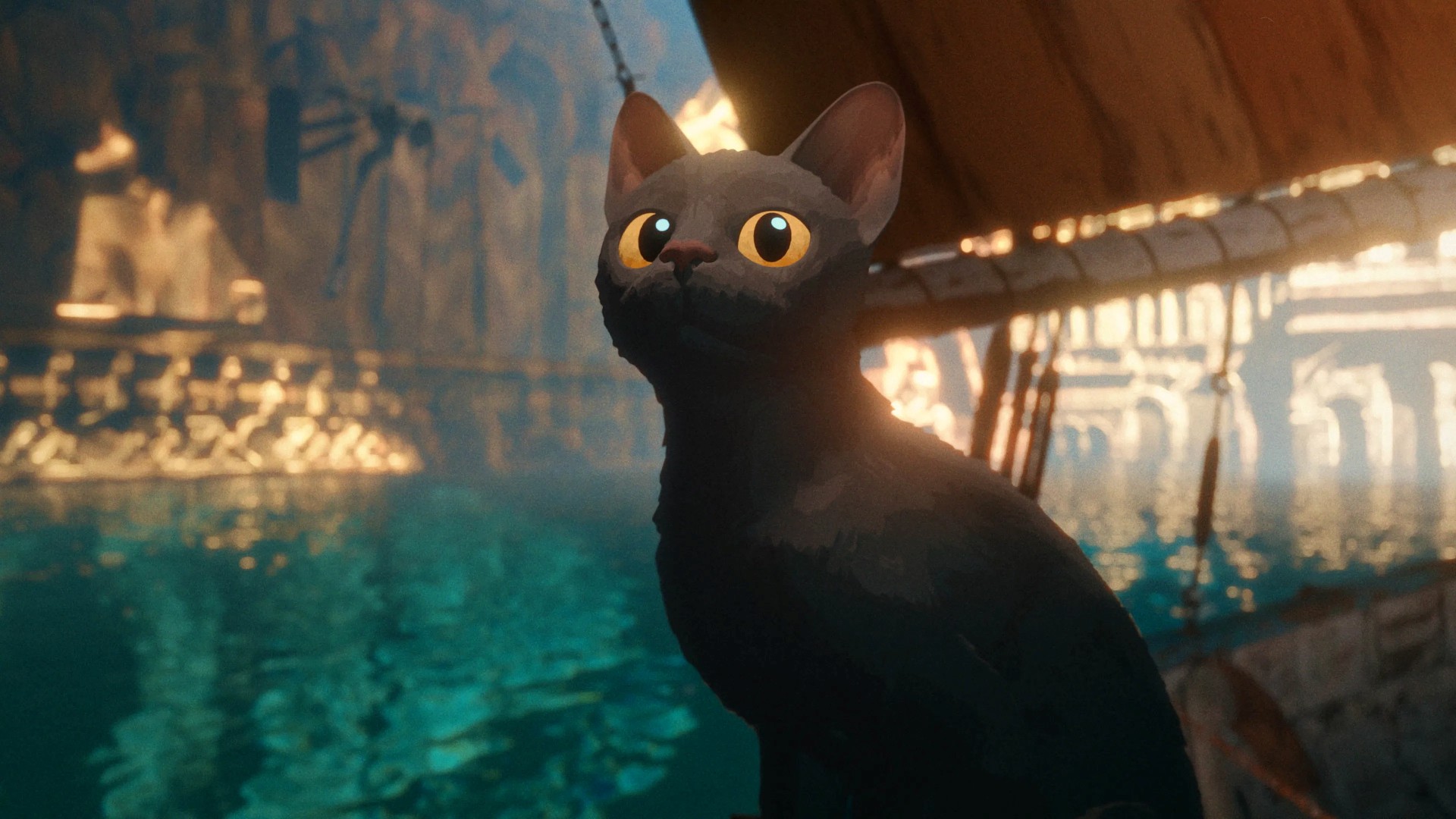 Flow (Reprodução/Mares Filmes)